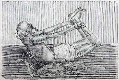 illustration of yoga bow pose