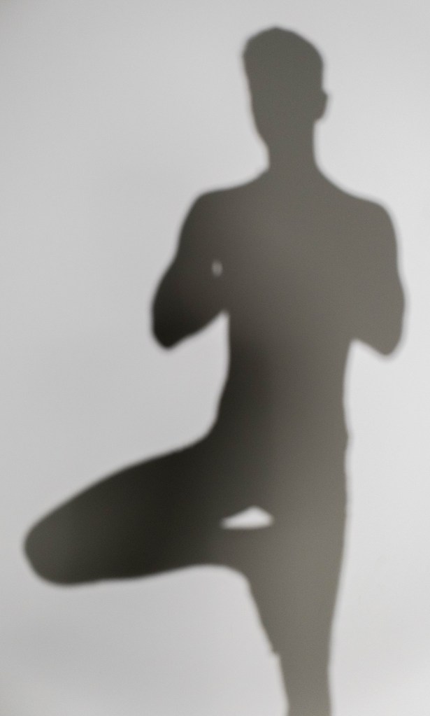 shadow of yoga tree pose (vriksasana)
